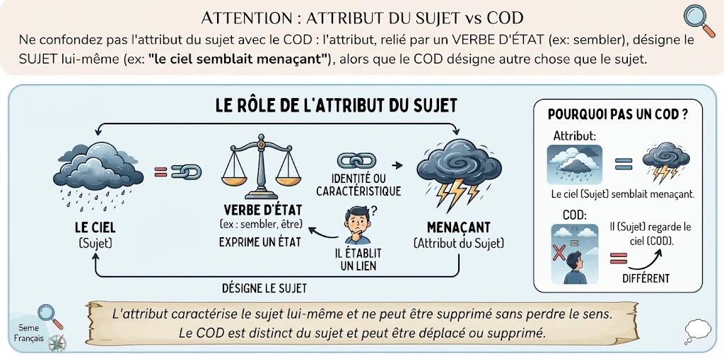 Infographie : l'attribut du sujet (vs COD)