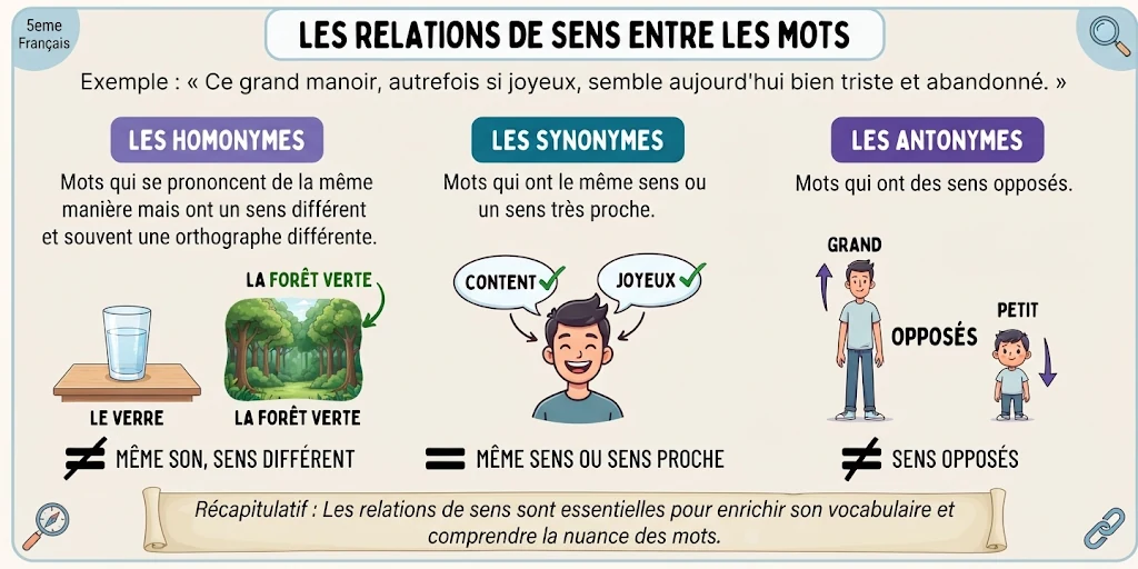 Infographie : les relations de sens entre les mots