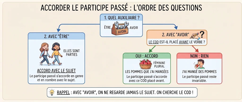 Infographie : accorder le participe passé