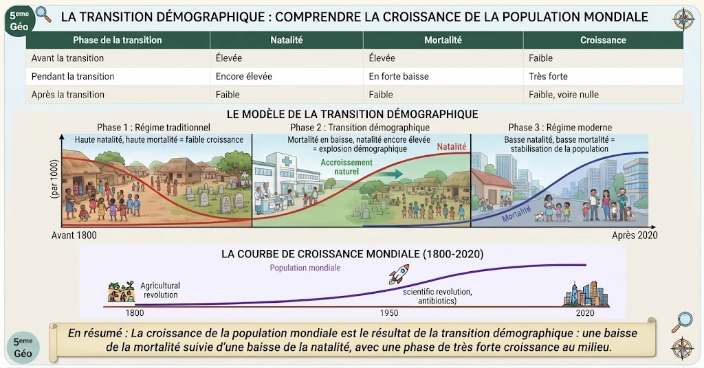 Infographie : la transition démographique
