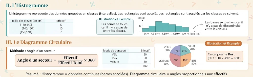 Infographie : histogramme et diagramme circulaire