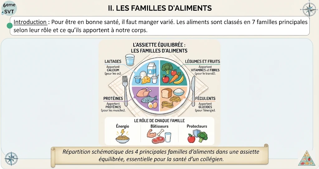 Infographie : les familles d'aliments et l'assiette équilibrée
