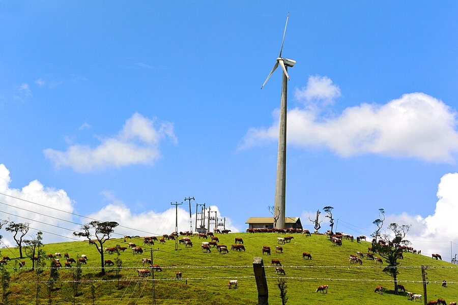 Ressources énergétiques : parc éolien.