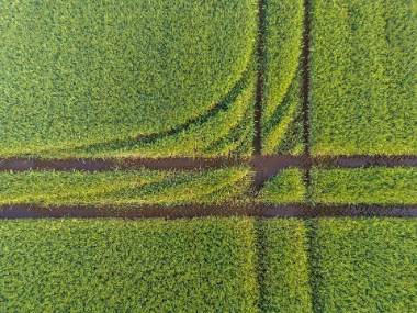 Openfield céréalier : un espace rural spécialisé et mécanisé